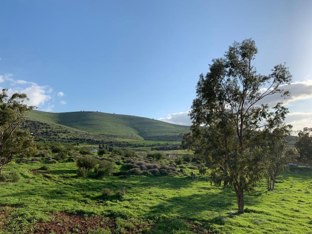 Вилла לבנדר בגלבוע בריכה מחוממת 4 חדרי שינה Nurit Экстерьер фото